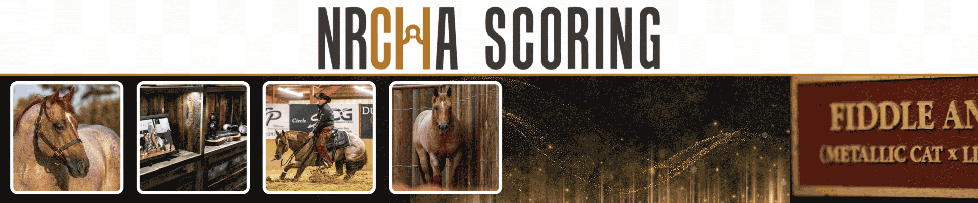 NRCHA Scoring