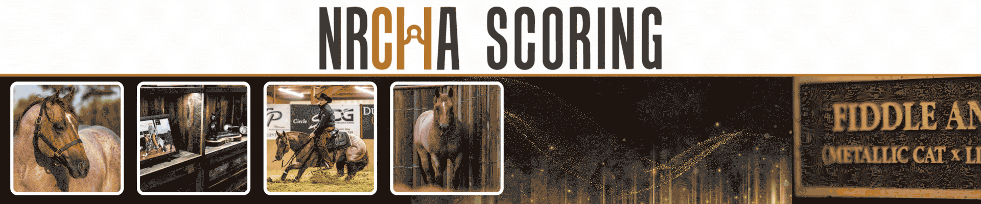 NRCHA Scoring