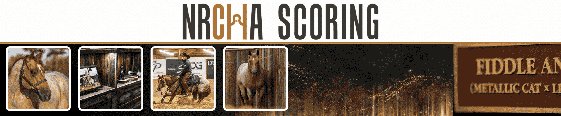 NRCHA Scoring