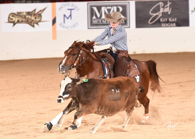 NRCHA Stallion Stakes Awards More Than 43,000 to Open Champion