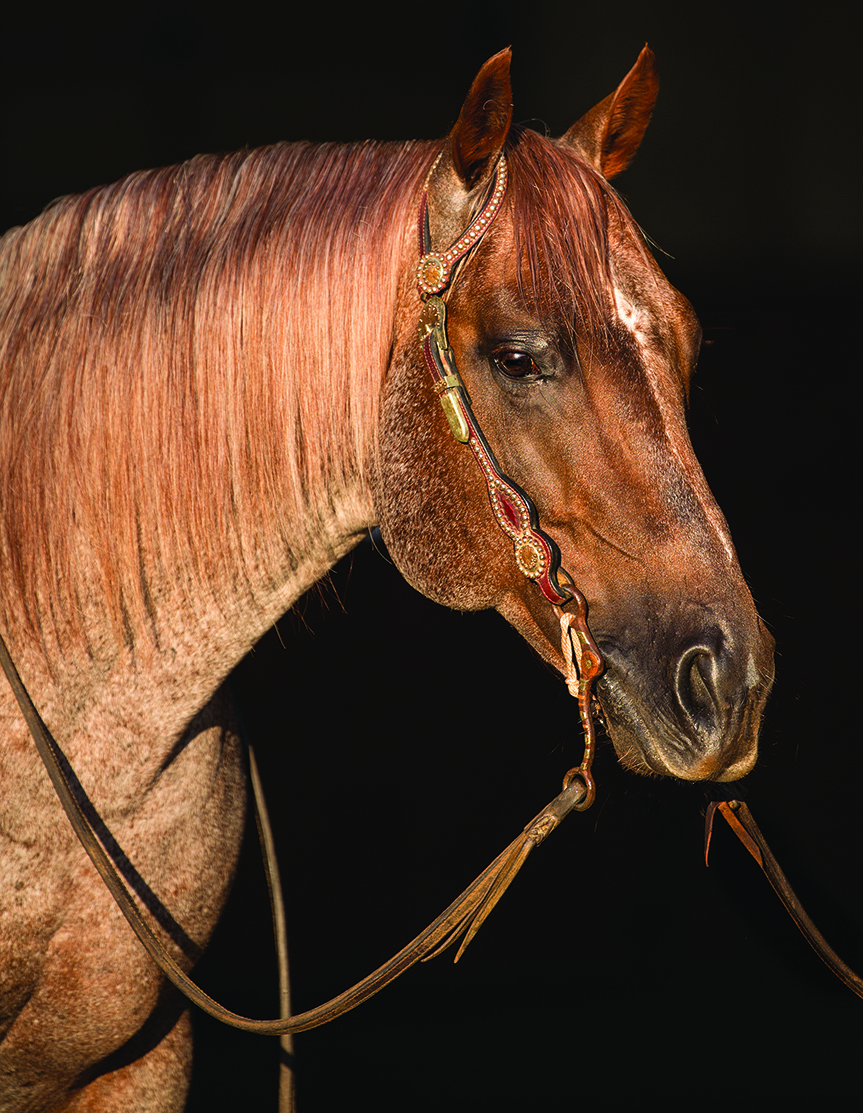 Metallic Cat NRCHA’s first Five Million Dollar Sire National