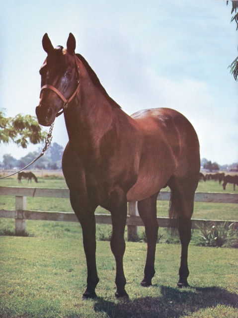 Athlete Image