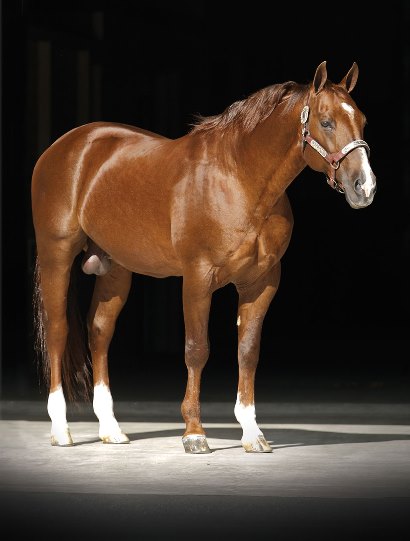 Athlete Image