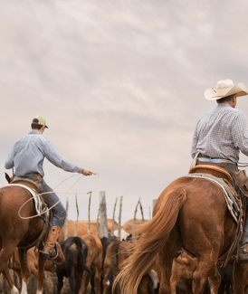 XIT RANCH JOINS AS PRESENTING SPONSOR OF THE COWBOY CLASS AT SNAFFLE ...