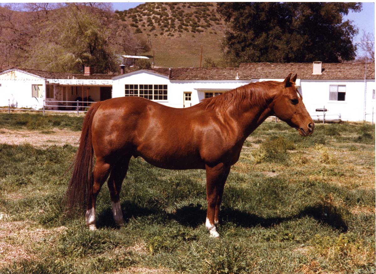 Athlete Image