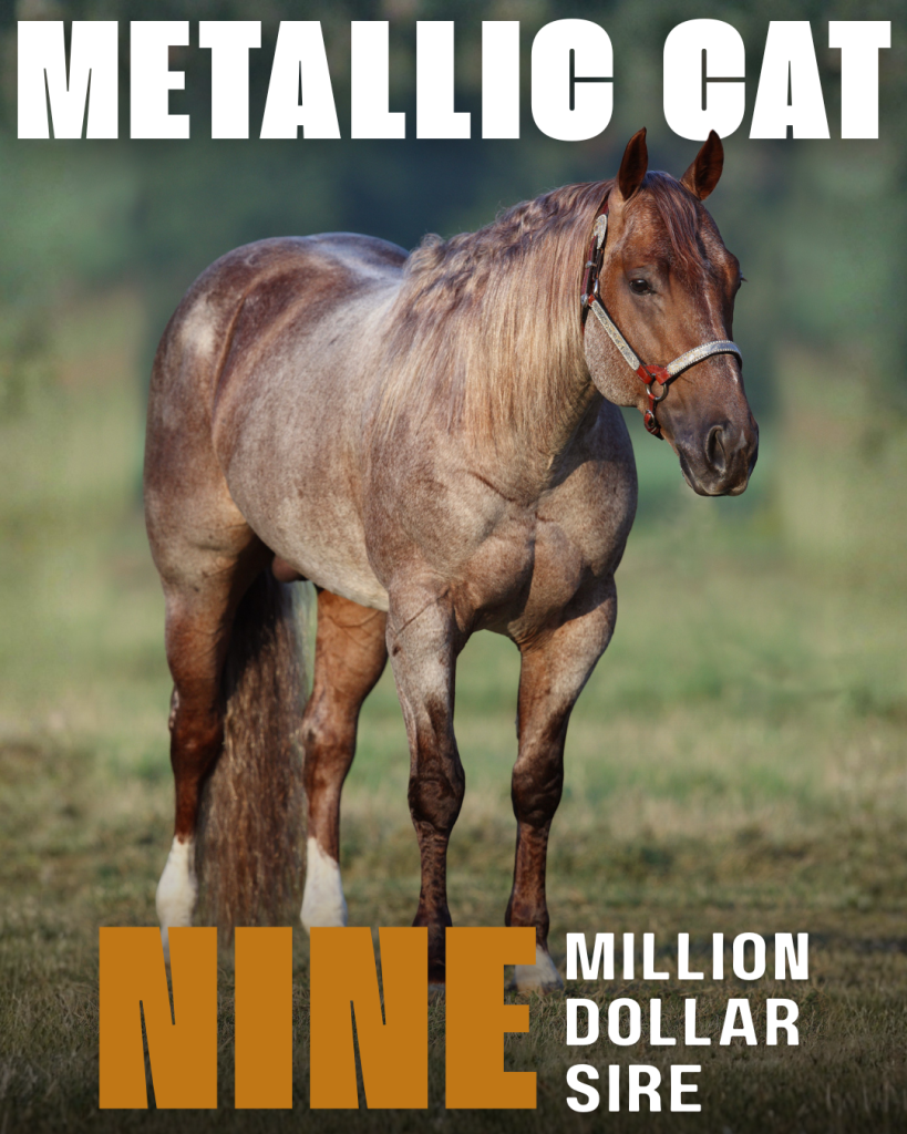 Metallic Cat’s Offspring Cross $9 Million in NRCHA Earnings - National ...